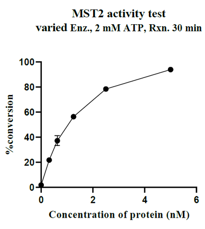 MST2 GST Tag Protein, Human