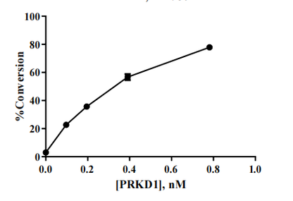 PRKD1 Protein, Human