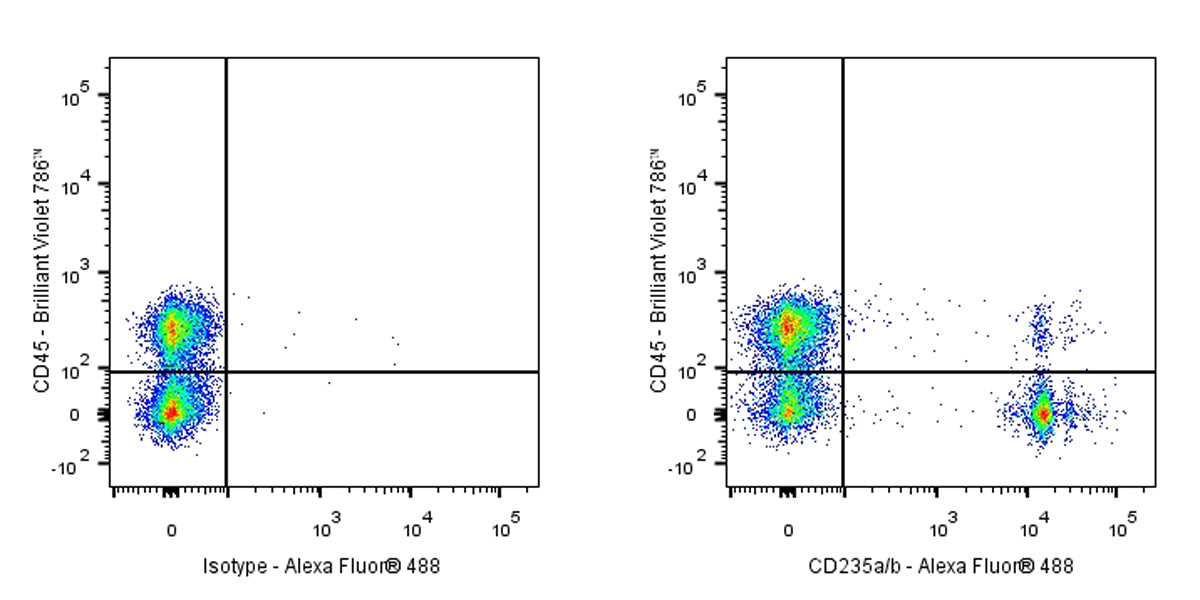 Alexa Fluor® 488 Mouse Anti-Human CD235a/b Antibody (HIR2)