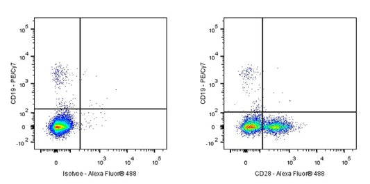Alexa Fluor® 488 Mouse Anti-Human CD28 Antibody (9.3)