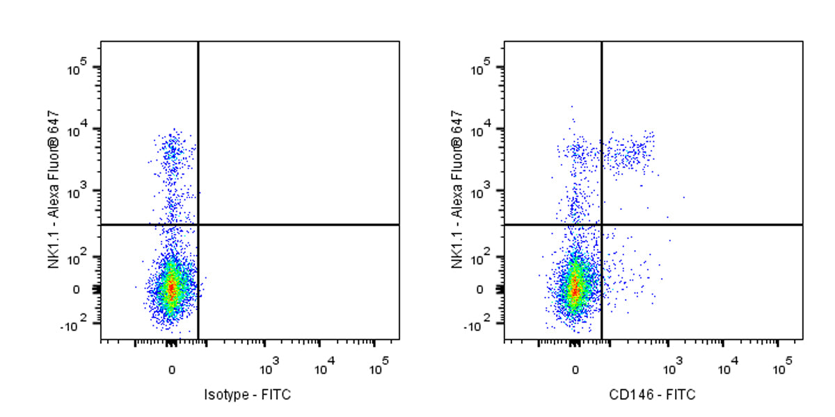 FITC Rat Anti-Mouse CD146 Antibody (S-R606)