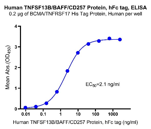 TNFSF13B/BAFF/CD257 hFc Tag Protein, Human