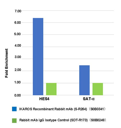 IKAROS Recombinant Rabbit mAb (S-R264)