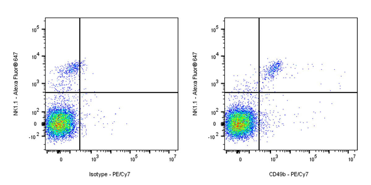 PE-Cy7 Rat Anti-Mouse CD49b Antibody (DX5)
