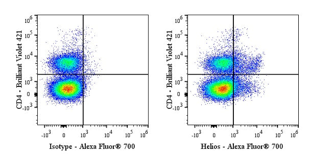 Alexa Fluor® 700 Armenian Hamster Anti-Mouse/Human Helios Antibody (22F6)
