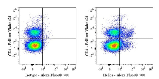 Alexa Fluor® 700 Armenian Hamster Anti-Mouse/Human Helios Antibody (22F6)