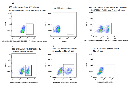 Alexa Fluor 647-Labeled NKG2D/CD314 Fc Chimera Protein, Human