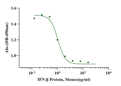 IFN-β Protein, Mouse