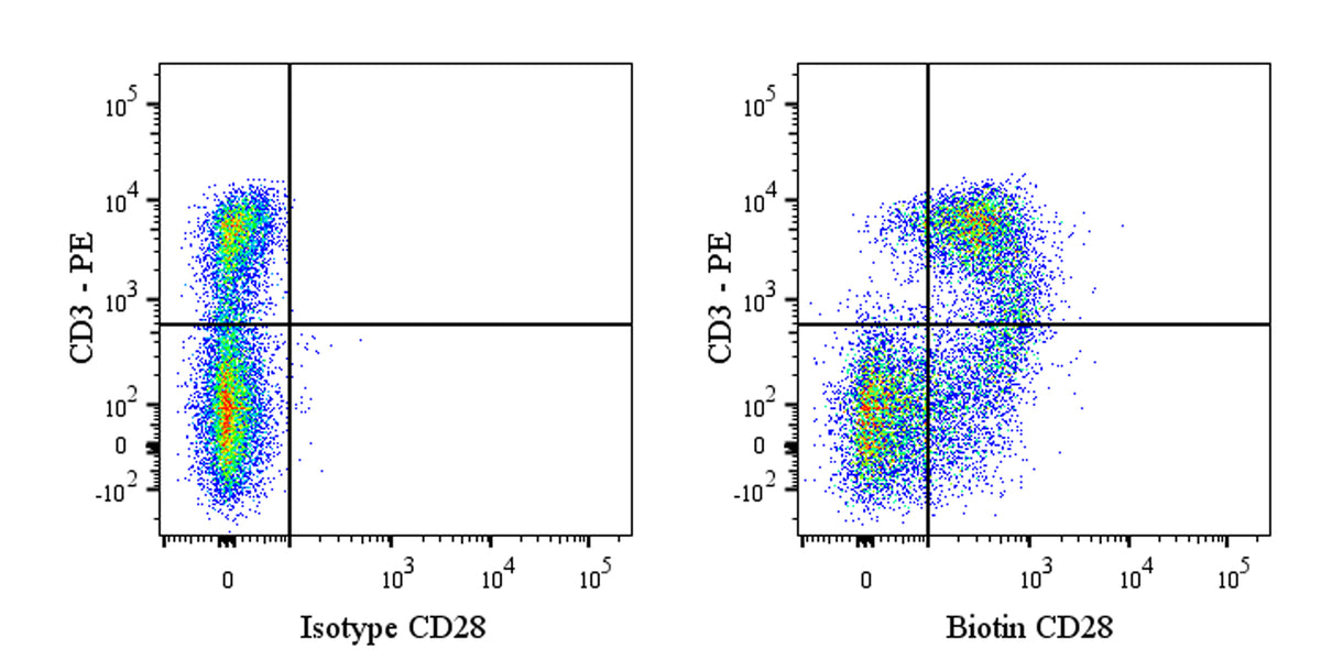 Biotin Mouse Anti-Rat CD28 Antibody (JJ319)