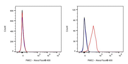 S-RMab® PMS2 Recombinant Rabbit mAb (SDT-R460)