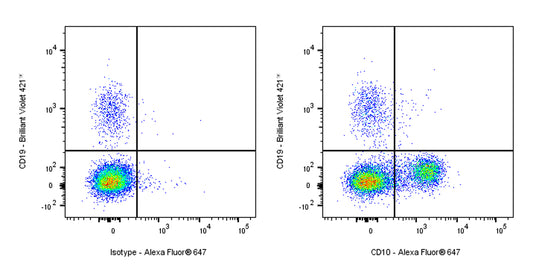 Alexa Fluor® 647 Mouse Anti-Human CD10 Antibody (S-713-5)