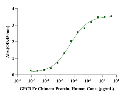 FGF-basic(154aa) Protein, Human