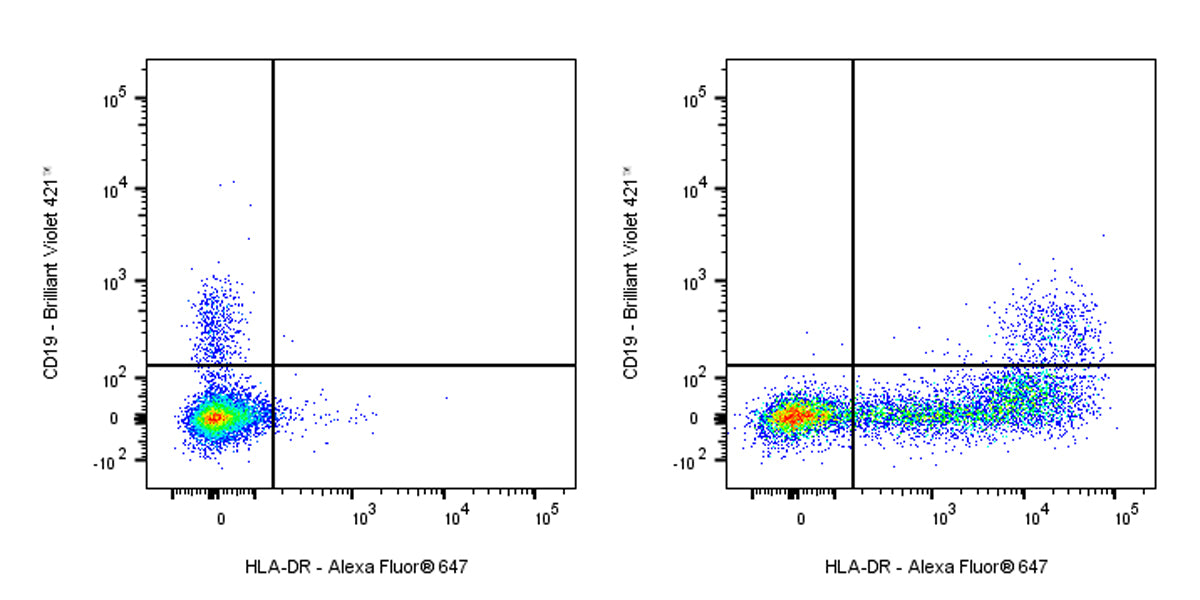 Alexa Fluor® 647 Mouse Anti-Human HLA-DR Antibody (L243)