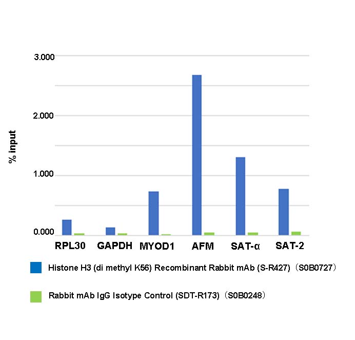 Histone H3 (di methyl K56) Recombinant Rabbit mAb (S-R427)