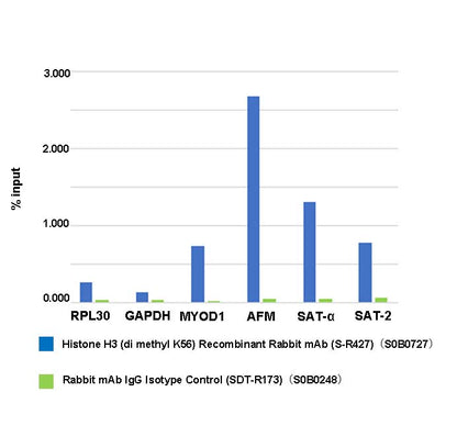 Histone H3 (di methyl K56) Recombinant Rabbit mAb (S-R427)