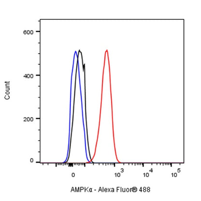 AMPKα Recombinant Rabbit mAb (S-784-68)