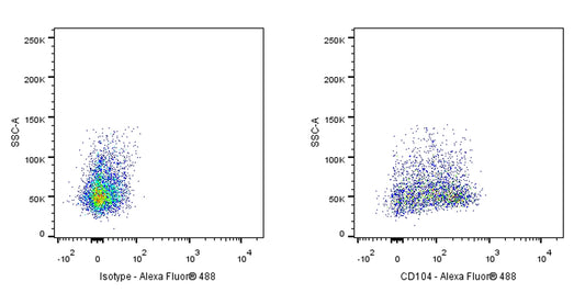 Rat Anti-Mouse CD104 Antibody (S-R716)