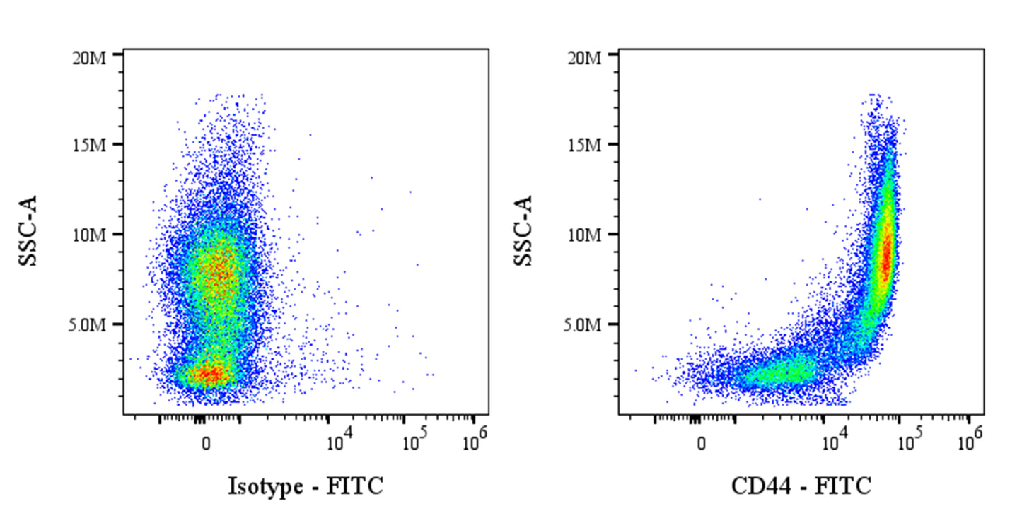 FITC Rat Anti-Mouse/Human CD44 Antibody (IM7)