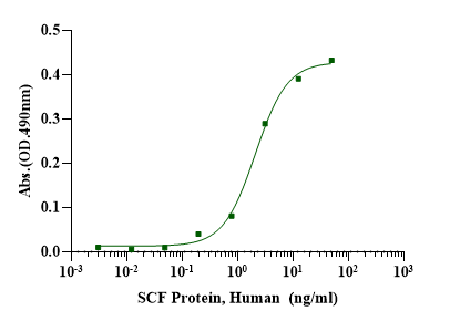 Scf Lab SCF Protein, Human – AntBio