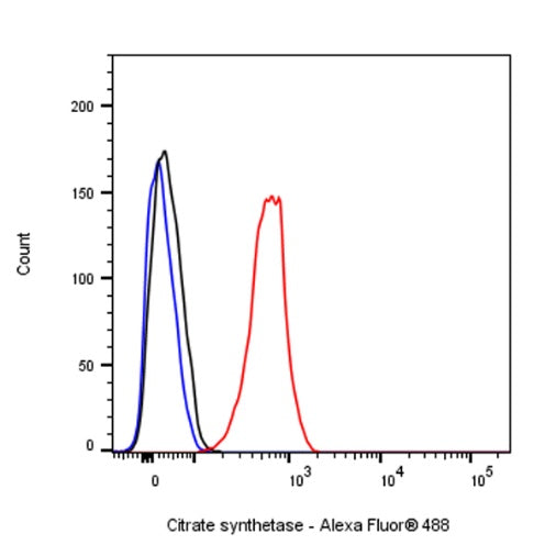 Citrate synthetase Recombinant Rabbit mAb (S-1708-56)