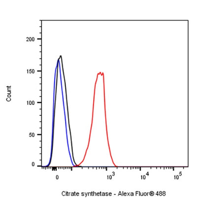 Citrate synthetase Recombinant Rabbit mAb (S-1708-56)