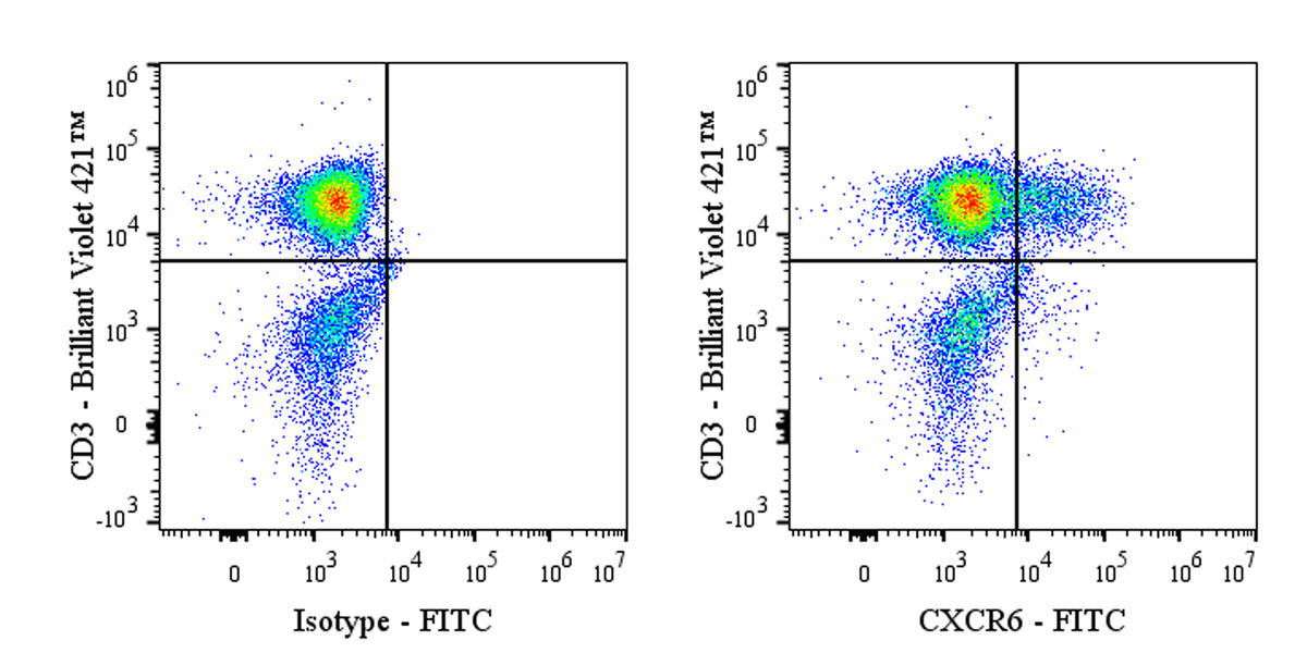 FITC Mouse Anti-Human CD186 (CXCR6) Antibody (S-3884)