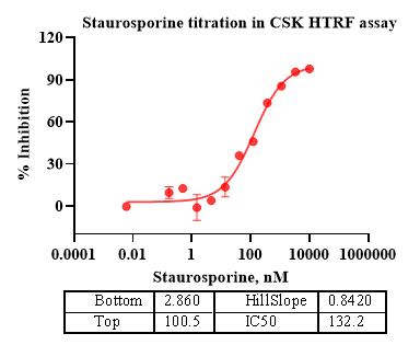 CSK Protein