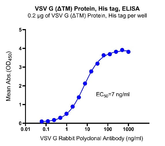 VSV G (ΔTM) Protein, His Tag