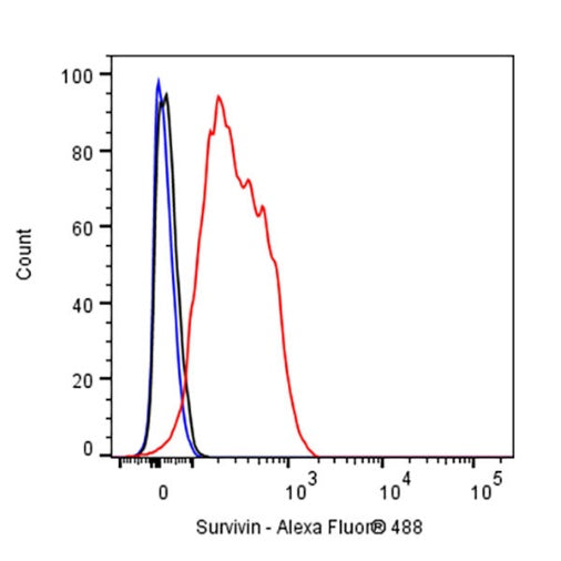 Survivin Recombinant Rabbit mAb (S-2334-26)
