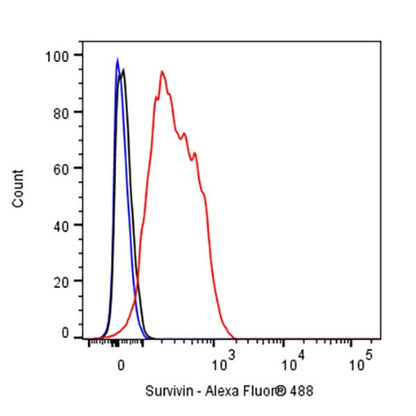 Survivin Recombinant Rabbit mAb (S-2334-26)