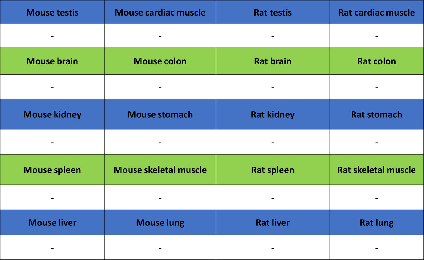NPTX2 Recombinant Rabbit mAb (S-4048-54)