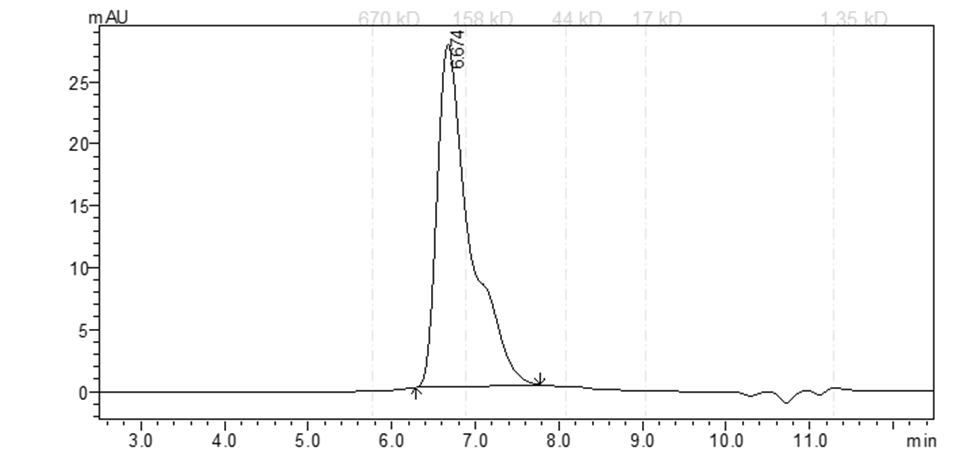 TRKB(NTRK2) Protein