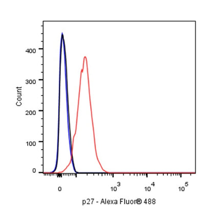 p27 Recombinant Rabbit mAb (SDT-R350)