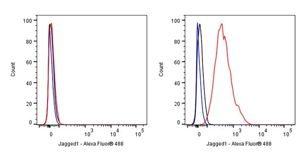Jagged1 Recombinant Rabbit mAb (S-3296)