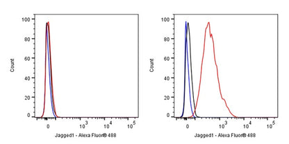 Jagged1 Recombinant Rabbit mAb (S-3296)