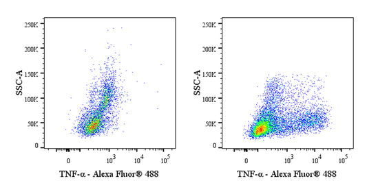 Mouse Anti-Human TNF-α Antibody (S-5629)