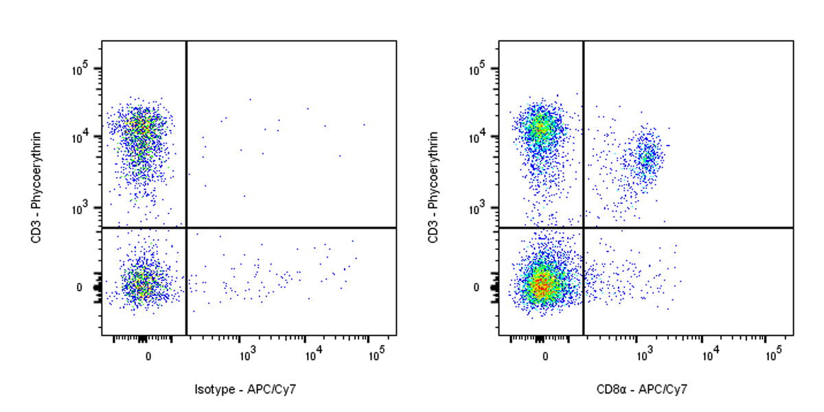 APC-Cy7 Rat Anti-Mouse CD8α Antibody (53-6.7)
