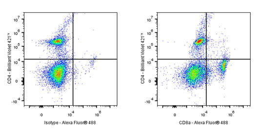 Rat Anti-Mouse CD8α Antibody (YTS 169.4)