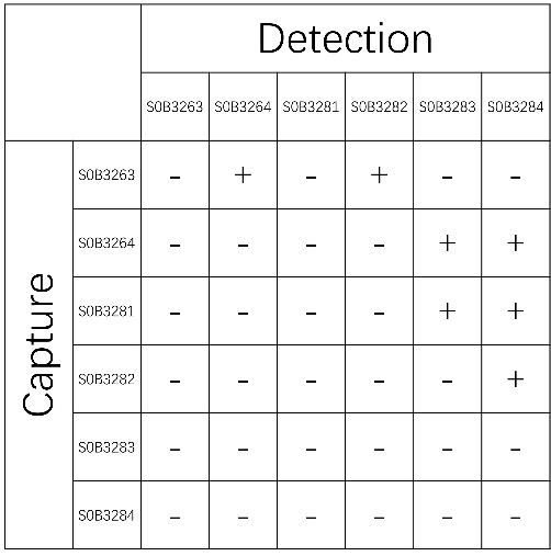 GM-CSF Recombinant Rabbit mAb (SDT-725-296)