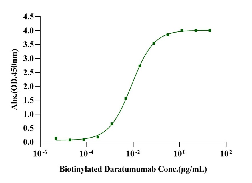 CD38 Fc Chimera Protein, Human