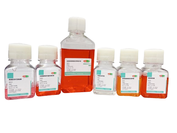 Human Colorectal cancer Organoid Culture Medium Kit