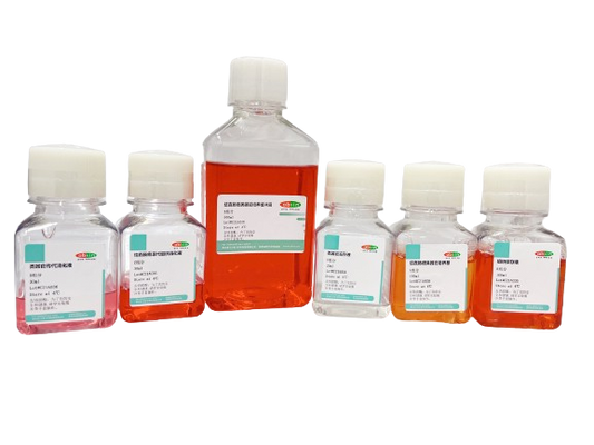 Human Colorectal cancer Organoid Culture Medium Kit