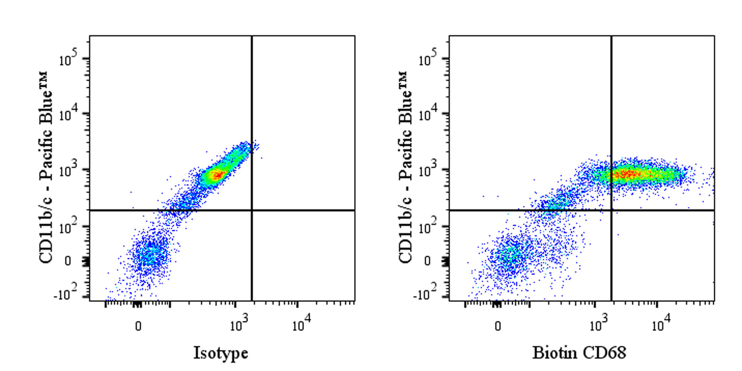 Biotin Mouse Anti-Rat CD68 Antibody (S-R674)