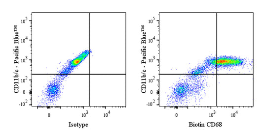 Biotin Mouse Anti-Rat CD68 Antibody (S-R674)
