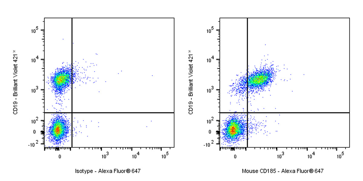 Rat Anti-Mouse CD185 Antibody (S-R600)