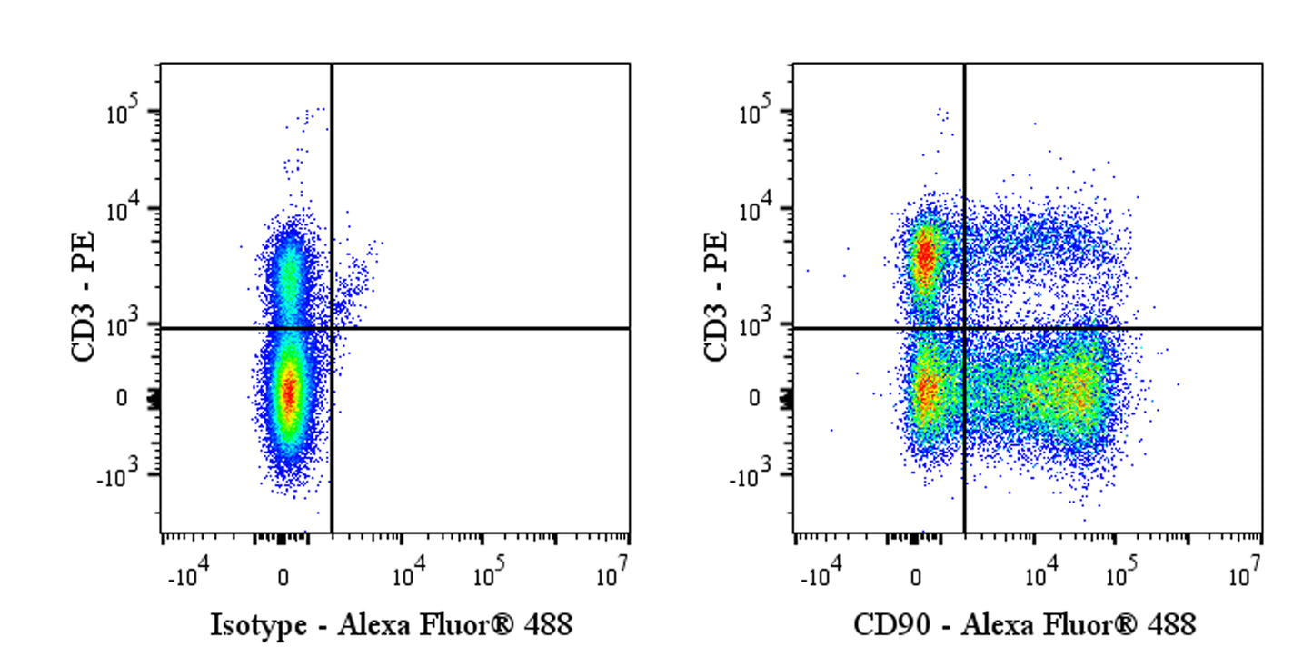 Alexa Fluor® 488 Mouse Anti-Rat CD90 Antibody (S-R687)