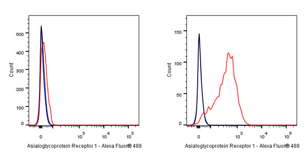 Asialoglycoprotein Receptor 1 Recombinant Rabbit mAb (SDT-292-48)