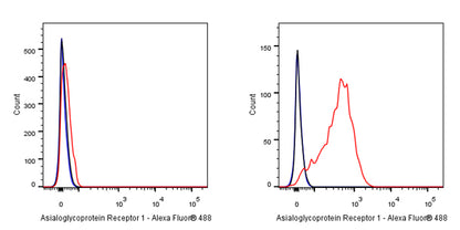 Asialoglycoprotein Receptor 1 Recombinant Rabbit mAb (SDT-292-48)