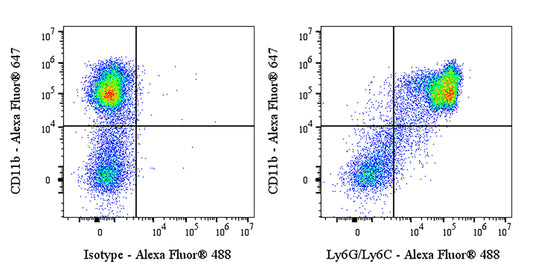 Invivo Anti-Mouse Ly6G/Ly6C Recombinant mAb