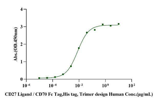 CD27 Ligand/CD70 Fc&His Tag Trimer design Protein, Human